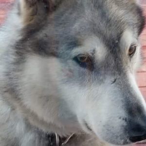 Meet your Posher, Richard